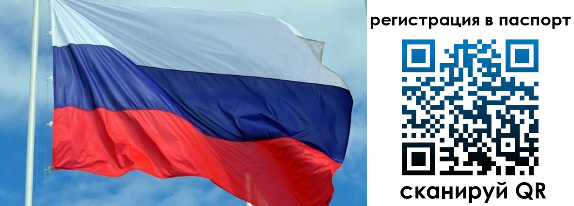 прописка от собственника в Сальске